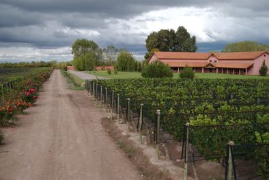 MDZol | La bodega se encuentra en Vistalba, Luján de Cuyo