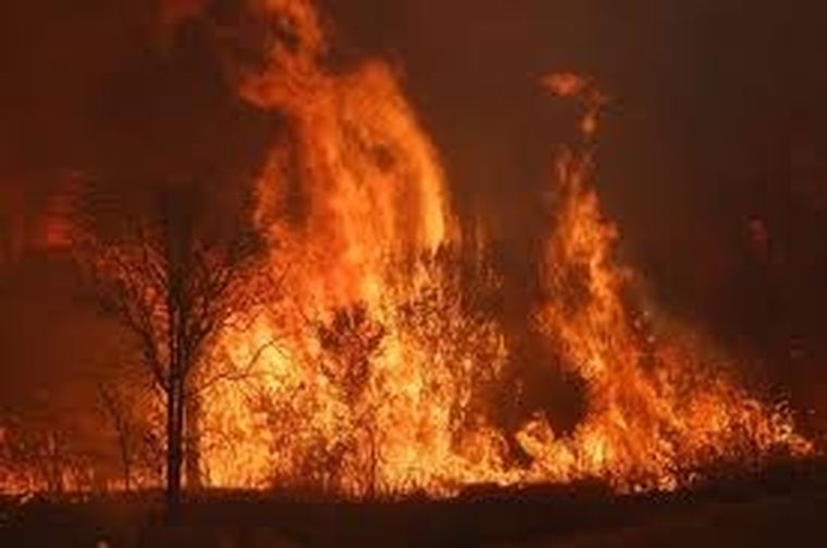 Los incendios forestal afectan a buena parte de nuestro país.