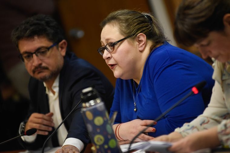 Se inició el análisis del fallo de la Corte Suprema de Justicia Foto: Prensa Diputados