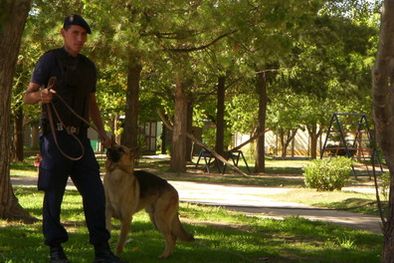 MDZol | Lo único que puso el Gobierno: un efectivos de canes en la plaza. Foto: MDZ