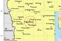 El temblor se sintió en la siesta mendocina. Foto: Inpres