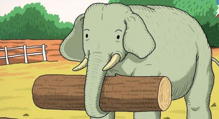 Acertijo visual, reto visual, animal