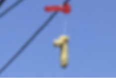 la ciudad que amanecio repleta de juguetes sexuales