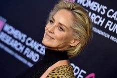 Sharon Stone deslumbra con su belleza. Foto: Archivo