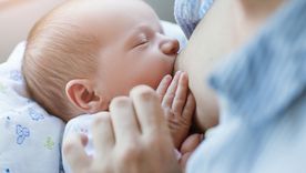 ¿Se puede tomar alcohol durante la lactancia sin afectar al bebé? ¿Una copa en un brindis navideño implica un riesgo? ¿Se puede tomar alcohol durante la lactancia sin afectar al bebé? ¿Una copa en un brindis navideño implica un riesgo?