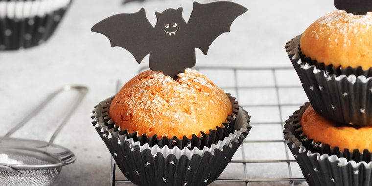 Foto: Ph Shutterstock