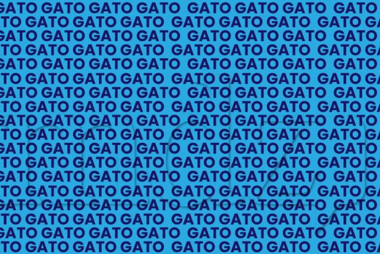 Acertijo visual Acertijo visual, Reto visual, Palabra Foto: MDZ Online