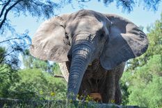 Foto: Juan Ignacio Blanco/MDZ