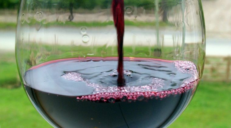 El cuerpo del vino. Foto: ALF PONCE MERCADO / MDZ