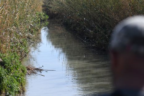el pj pide declarar la emergencia ambiental en guaymallen por el vertido de liquidos cloacales el pj pide declarar la emergencia ambiental en guaymallen por el vertido de liquidos cloacales