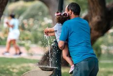 Foto: Santiago Tagua/MDZ Foto: Santiago Tagua/MDZ