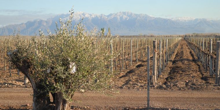 El Comité de Crisis busca soluciones para el sector frutihortícola.