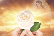 Rating La Rosa de Guadalupe