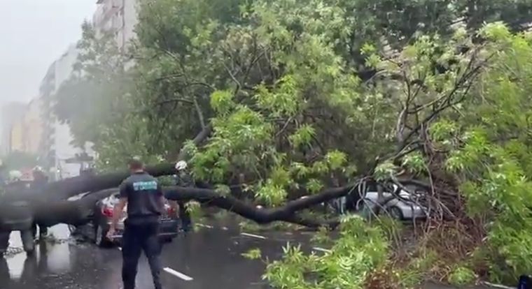 El hecho ocurrió a la altura de Díaz Vélez al 4100. Foto: Captura de video
