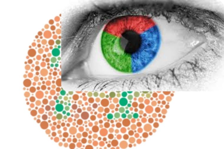 Daltonismo Test visual y Daltonismo Foto: oftalvist.es