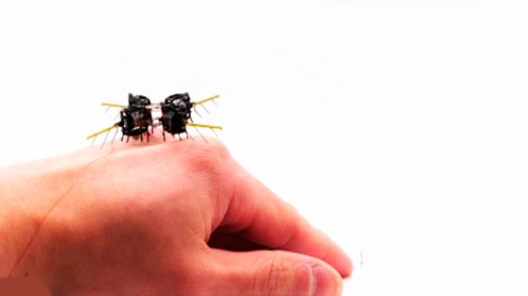El mini robot sobre una mano: pesa sólo 750 miligramos y mide cuatro centímetros. Créditos:&nbsp; researchgate.net.&nbsp;&nbsp;