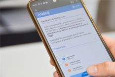 El nuevo anuncio de Anses beneficia a millones de personas Foto: Anses