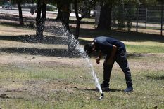 Foto: ALF PONCE MERCADO / MDZ