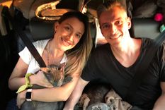 argentina hoy: 20 horas de viaje terrestre para emigrar via paraguay