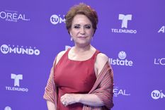 Foto: https://www.telemundo.com/entretenimiento/latinx-now-espanol/mes-de-la-herencia-hispana/adriana-barraza-detallo-su-carrera-como-actriz-y-lo-que-tuvo-que-pasar-para-llegar-tmna3913623