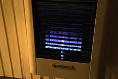 Foto: ALF PONCE MERCADO / MDZ Foto: ALF PONCE MERCADO / MDZ