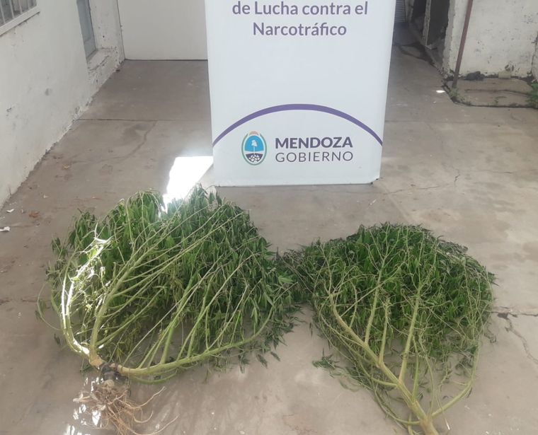 Algo de lo secuestrado.