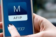 algunas claves y una sorpresa en la ley de moratoria impositiva