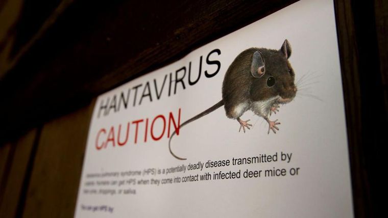 Hantavirus. Hantavirus.