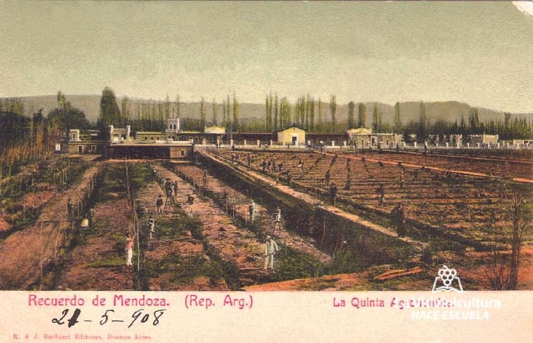 Quinta Agronómica, cuna de la vitivinicultura mendocina