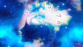 Los números de la suerte de hoy. Los números de la suerte de hoy.