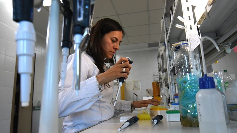 Laura no usa redes sociales. Laura no usa redes sociales.