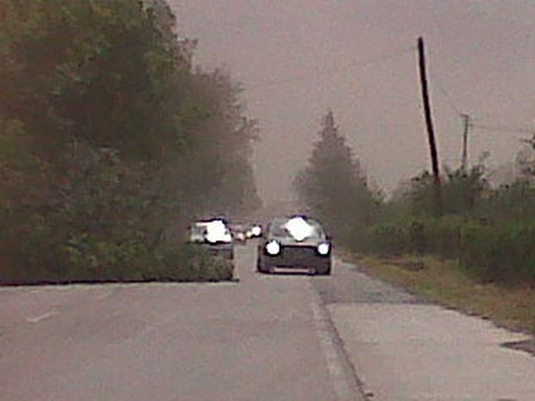 En la plaza de Vista Flores cayó un árbol de gran porte. Foto: Archivo