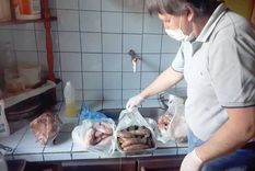 Tres familiares murieron intoxicados por botulismo luego de comer chacinados caseros