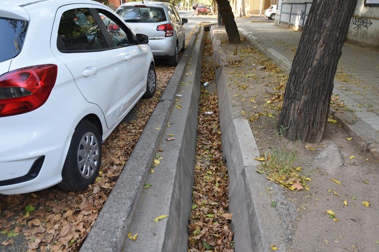 En las acequias es posible realizar carreras no “solamente” de barquitos: pueden llevarse a cabo también competencias de palitos de helados, de hojitas secas, de papeles de caramelos o de cualquier cosa que se digne a flotar Foto: Maximiliano Ríos/MDZ