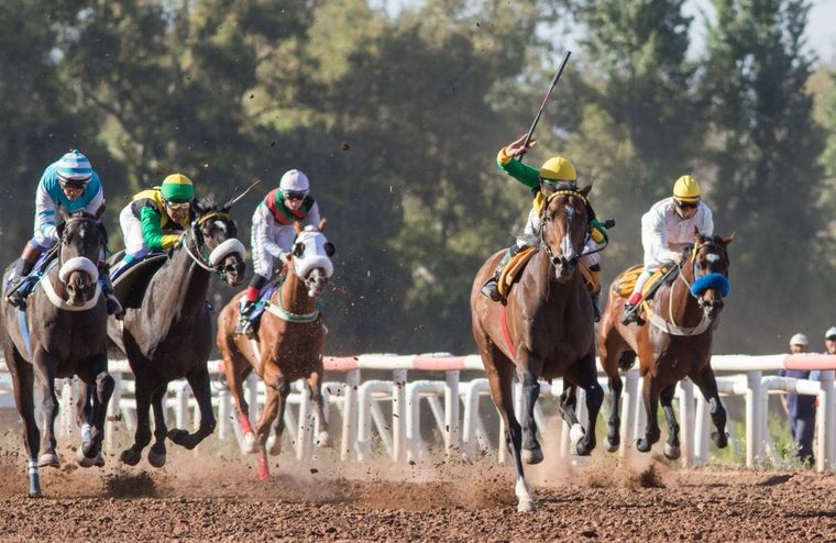 Cats Away participará de uno de los clásicos del próximo domingo en el Hipódromo de Mendoza.