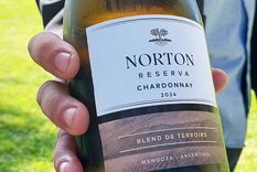 bodega norton: la historia familiar y las claves de una empresa en crisis