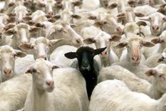 Foto: antrophistoria.