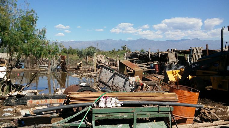 Foto: Ulises Naranjo.