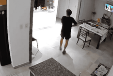 Un insólito caso ocurrido en un barrio privado de Santo Tomé, en la provincia de Santa Fe, dejó sorprendido a los vecinos. Foto: Captura de video