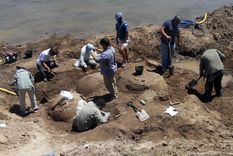 un paleontologo nos conto todo sobre los peludos gigantes encontrados