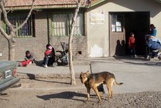 Foto: Ulises Naranjo/MDZ.