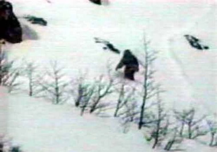 Fotografía que muestra un supuesto Yeti.