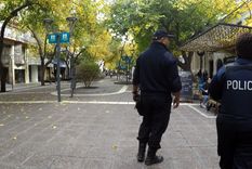 Milei saldrá a caminar por la peatonal Milei saldrá a caminar por la peatonal