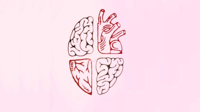 test de personalidad test de personalidad