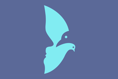 test de personalidad