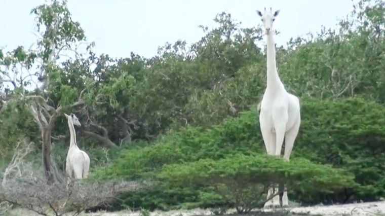 944543.jpg