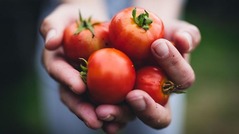 Además de saludables, son un producto muy versátil. Foto: GETTY IMAGES