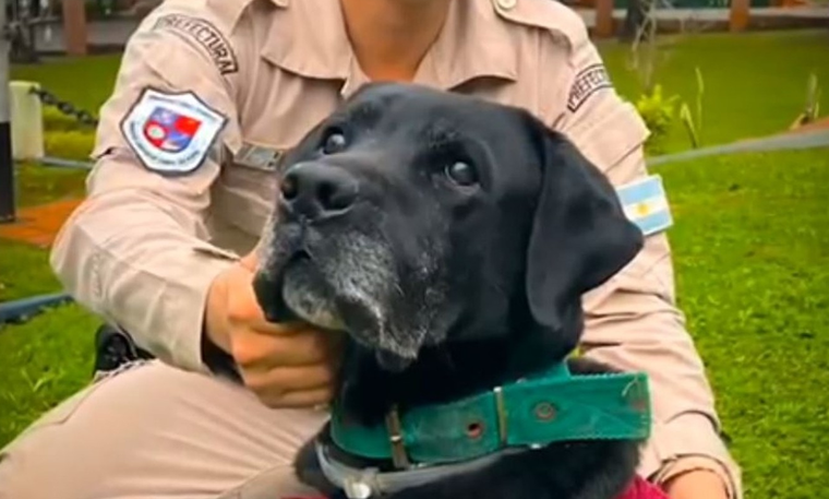 Rango recibió las felicitaciones de miles de argentinos Foto: Captura de pantalla/Prefectura Naval Argentina