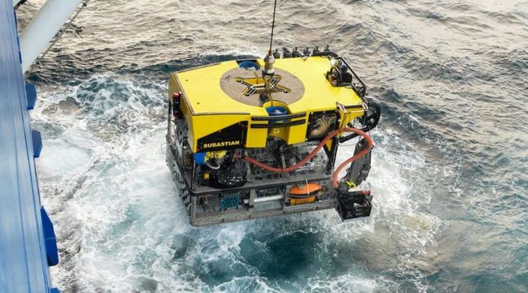 La expedición del Conicet no solo permitió descubrir 40 nuevas especies sino que también acercó la ciencia a la sociedad. Foto: ROV SuBastian