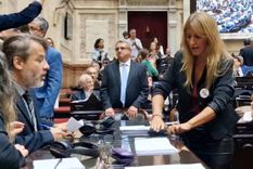 Carignano podría ser expulsada del Congreso por desenchufar cables para frenar la sesión